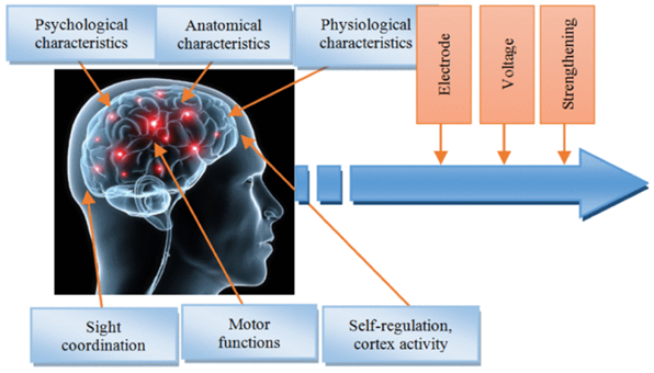 Sample illustration: a model of bioelectric signals